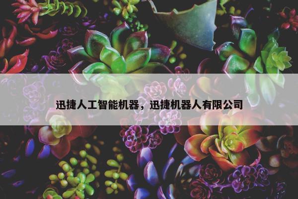 迅捷人工智能机器，迅捷机器人有限公司