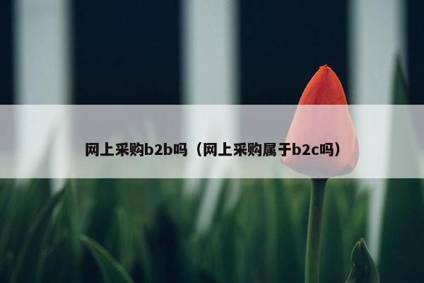 网上采购b2b吗（网上采购属于b2c吗）