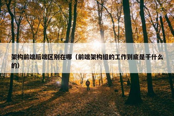 架构前端后端区别在哪（前端架构组的工作到底是干什么的）