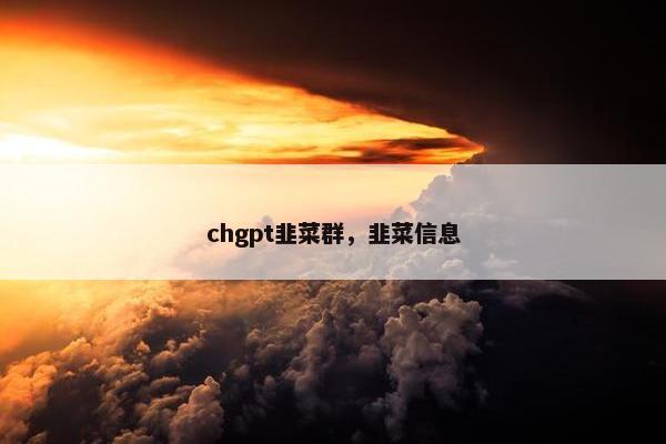 chgpt韭菜群，韭菜信息