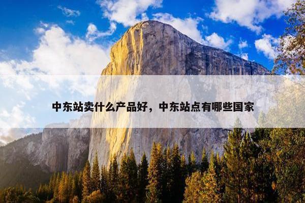 中东站卖什么产品好，中东站点有哪些国家
