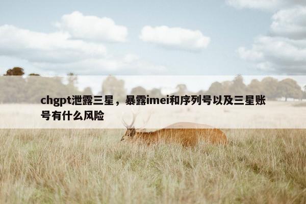 chgpt泄露三星，暴露imei和序列号以及三星账号有什么风险
