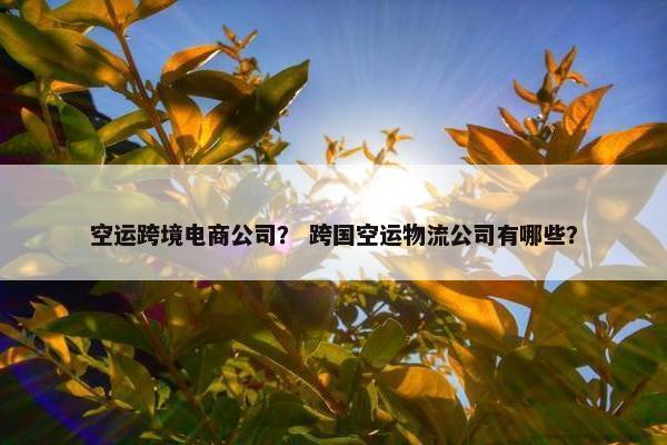 空运跨境电商公司？ 跨国空运物流公司有哪些？