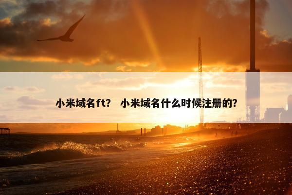 小米域名ft？ 小米域名什么时候注册的？