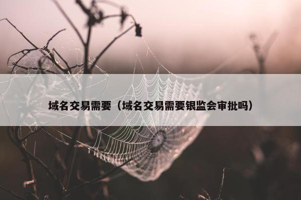 域名交易需要（域名交易需要银监会审批吗）