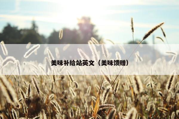 美味补给站英文（美味馈赠）