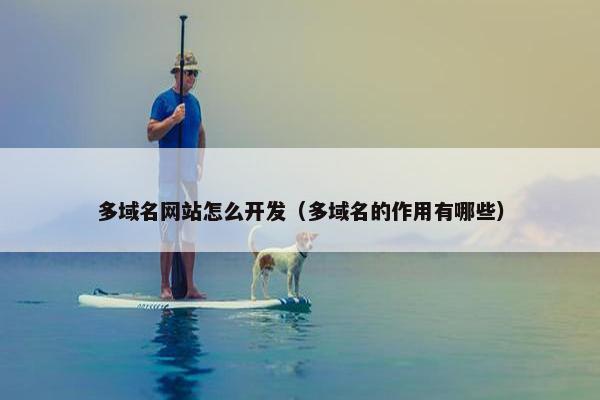 多域名网站怎么开发（多域名的作用有哪些）
