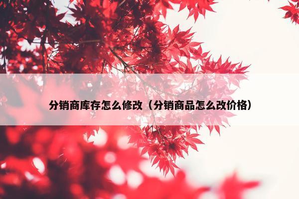 分销商库存怎么修改（分销商品怎么改价格）