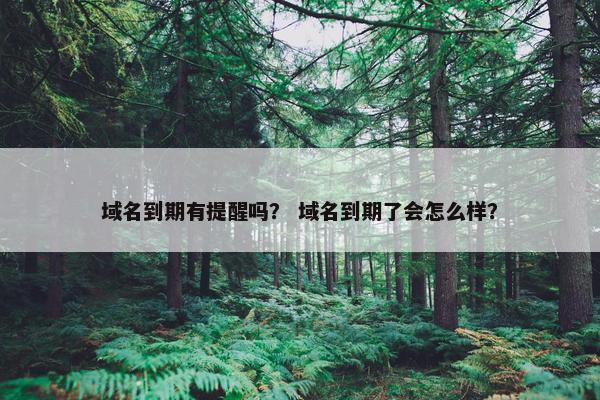 域名到期有提醒吗？ 域名到期了会怎么样？