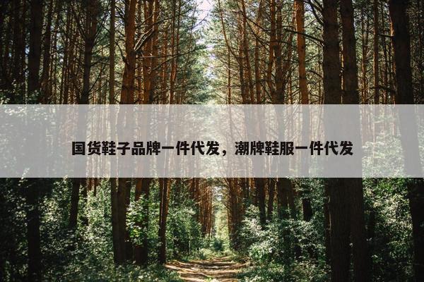 国货鞋子品牌一件代发，潮牌鞋服一件代发