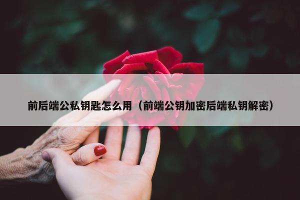 前后端公私钥匙怎么用（前端公钥加密后端私钥解密）