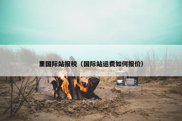 里国际站报税（国际站运费如何报价）