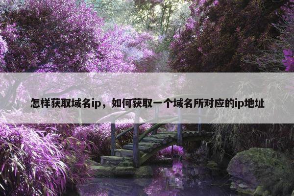 怎样获取域名ip，如何获取一个域名所对应的ip地址