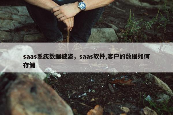 saas系统数据被盗，saas软件,客户的数据如何存储