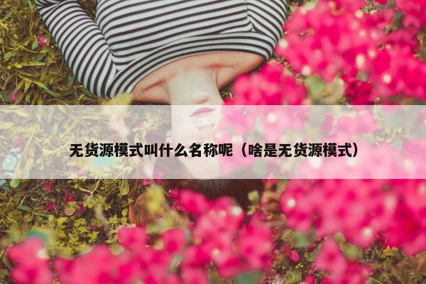 无货源模式叫什么名称呢（啥是无货源模式）