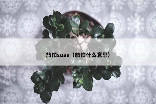 旅拍saas（旅拍什么意思）