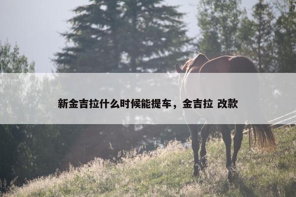 新金吉拉什么时候能提车，金吉拉 改款