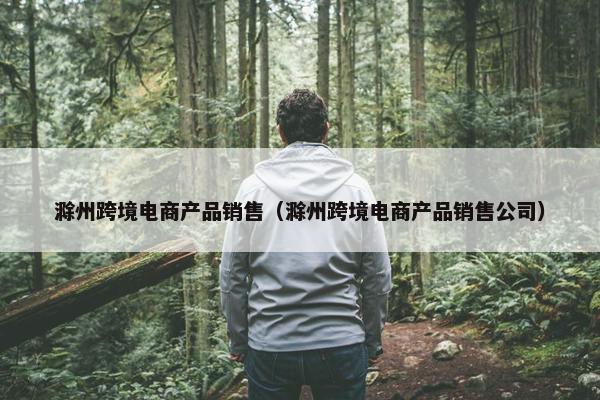 滁州跨境电商产品销售（滁州跨境电商产品销售公司）