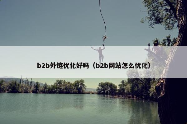 b2b外链优化好吗（b2b网站怎么优化）
