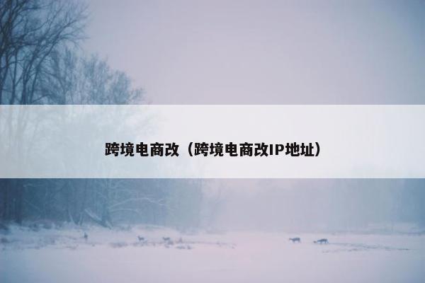 跨境电商改（跨境电商改IP地址）