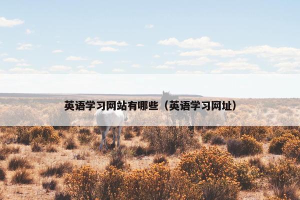 英语学习网站有哪些（英语学习网址）