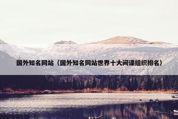 国外知名网站（国外知名网站世界十大间谍组织排名）
