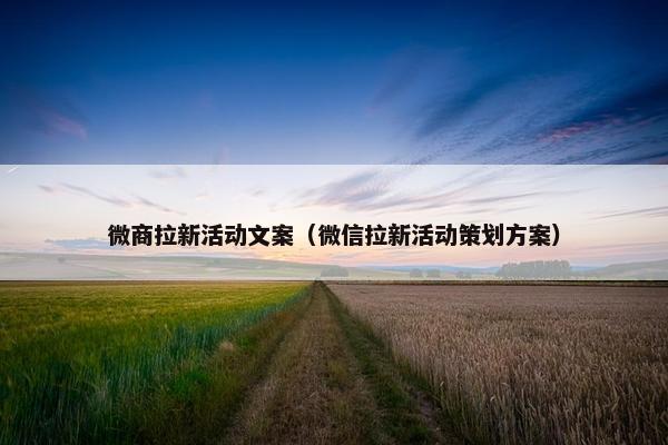 微商拉新活动文案（微信拉新活动策划方案）
