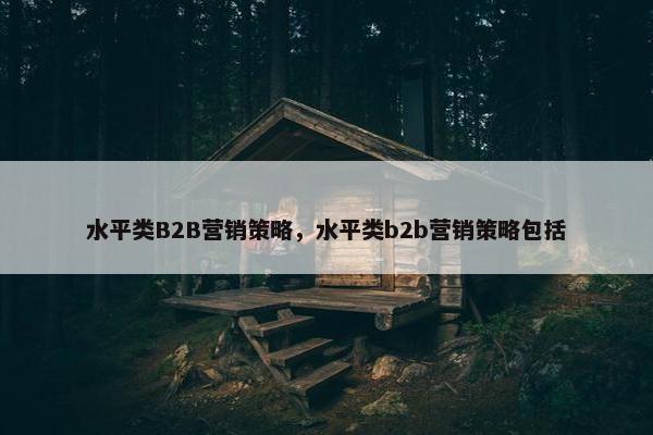 水平类B2B营销策略，水平类b2b营销策略包括