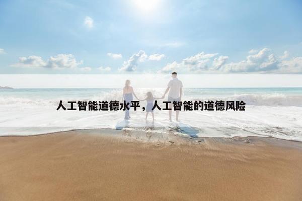 人工智能道德水平，人工智能的道德风险