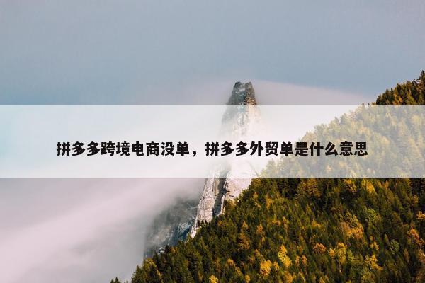 拼多多跨境电商没单，拼多多外贸单是什么意思