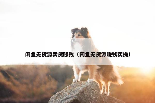 闲鱼无货源卖货赚钱（闲鱼无货源赚钱实操）