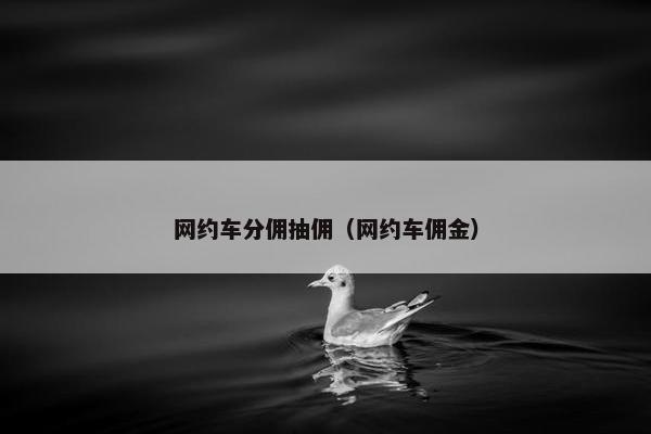 网约车分佣抽佣（网约车佣金）