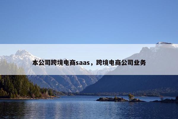 本公司跨境电商saas，跨境电商公司业务