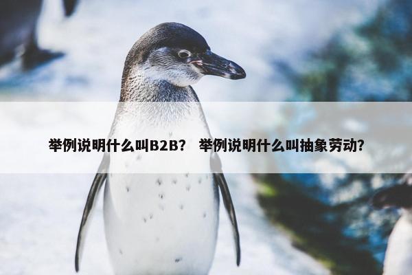 举例说明什么叫B2B？ 举例说明什么叫抽象劳动？