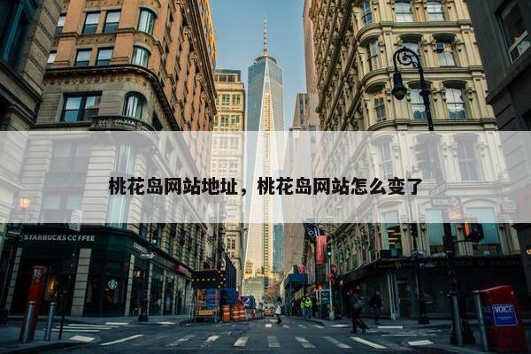 桃花岛网站地址，桃花岛网站怎么变了