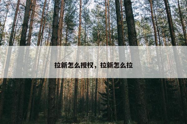 拉新怎么授权，拉新怎么拉