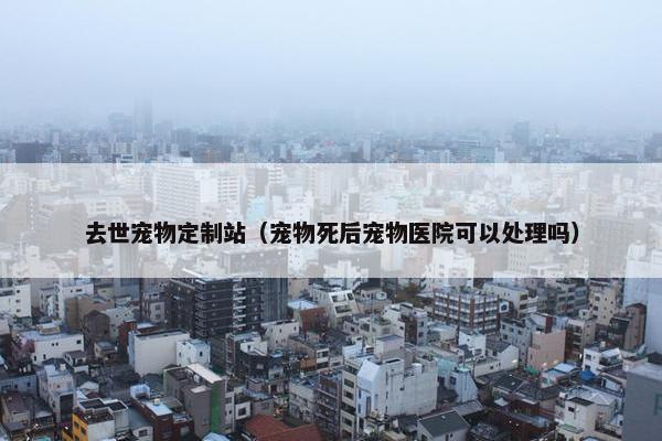 去世宠物定制站（宠物死后宠物医院可以处理吗）
