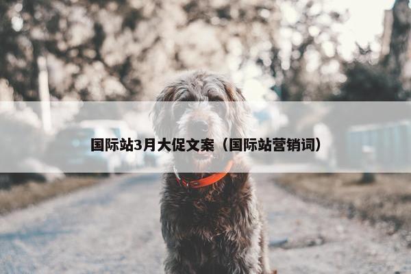 国际站3月大促文案（国际站营销词）