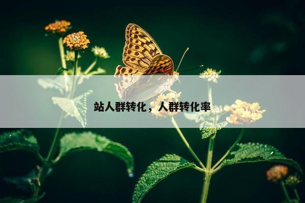 站人群转化，人群转化率
