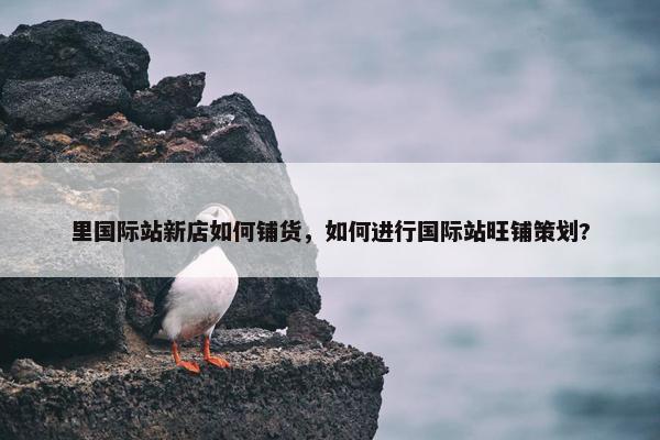里国际站新店如何铺货，如何进行国际站旺铺策划?