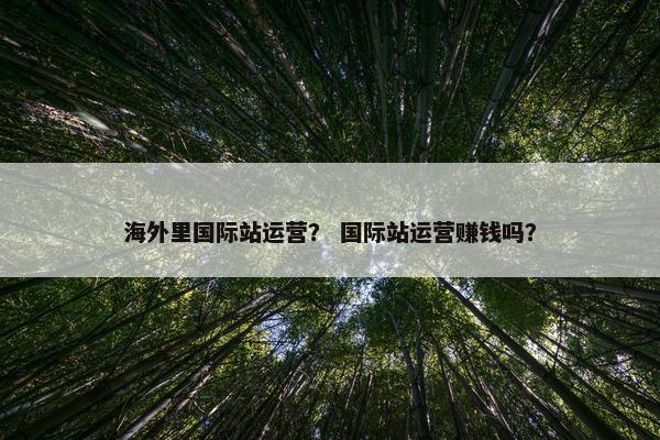 海外里国际站运营？ 国际站运营赚钱吗？
