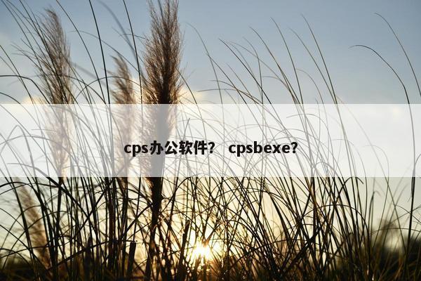 cps办公软件？ cpsbexe？
