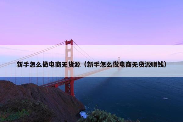 新手怎么做电商无货源（新手怎么做电商无货源赚钱）