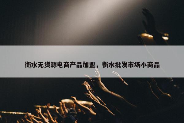 衡水无货源电商产品加盟，衡水批发市场小商品