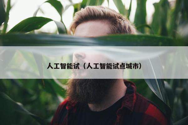 人工智能试（人工智能试点城市）
