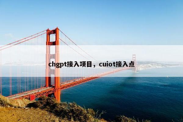 chgpt接入项目，cuiot接入点