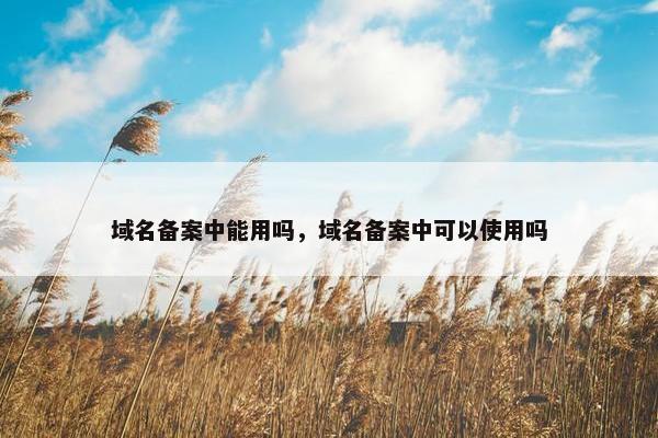 域名备案中能用吗，域名备案中可以使用吗