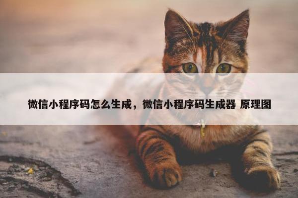 微信小程序码怎么生成，微信小程序码生成器 原理图