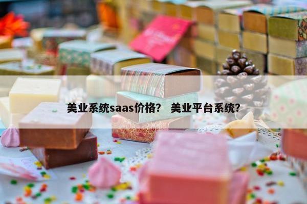 美业系统saas价格？ 美业平台系统？