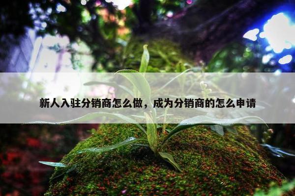 新人入驻分销商怎么做，成为分销商的怎么申请